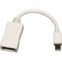 Tripp_Lite_Mini_DisplayPort_to_DisplayPort_Adapter_Converter_Video_Cable_mDP_to_DP_MF_-_6_AV_Cable_for_Monitor_-_First_End_1_x_-_1_P139-06N-DP