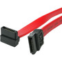 StarTech.com 8in SATA to Right Angle SATA Serial ATA Cable - SATA for Hard Drive (SATA8RA1)