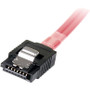 StarTech.com 1m Serial Attached SCSI SAS Cable - SFF-8087 to 4x Latching SATA - SAS/SATA for Hard Drive - 1m - 1 Pack - 1 x SFF-8087 - (SAS8087S4100)