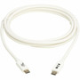 Tripp Lite by Eaton USB4 20Gbps Cable MM - USB-C 4K 60 Hz 240W PD Charging White 2 m 66 ft - 66 ft USB4 Data Transfer Cable U521-1P0M-WH20G