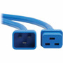Tripp Lite by Eaton P036-002-ABL Power Extension Cord - For Server Chassis Server Router Network Device UPS PDU Network Switch - P036-002-ABL