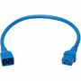 Tripp Lite by Eaton P036-002-ABL Power Extension Cord - For Server Chassis Server Router Network Device UPS PDU Network Switch - P036-002-ABL