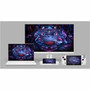 Asus ROG Strix XG27UCG-W 27 Class 4K UHD Gaming LCD Monitor - 169 - White - 27 Viewable - Fast IPS - 3840 x 2160 - 10737 Million - XG27UCG-W