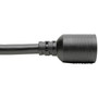 Tripp Lite 1ft Power Cord Y Splitter Cable L6-20P to 2xL6-20R for PDUUPS 20A 10AWG 1 - 220 V AC  20 A - Black - 1 ft 030 m Cord P039-001-2