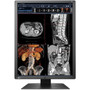EIZO RadiForce RX250 22 Class LCD Monitor - 34 - Black - 213 Viewable - In-plane Switching IPS Technology - LED Backlight - 1200 RX250-BK