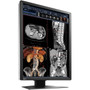 EIZO RadiForce RX250 22 Class LCD Monitor - 34 - Black - 213 Viewable - In-plane Switching IPS Technology - LED Backlight - 1200 RX250-BK
