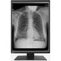 EIZO RadiForce RX250 22 Class LCD Monitor - 34 - Black - 213 Viewable - In-plane Switching IPS Technology - LED Backlight - 1200 RX250-BK