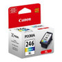 Canon CL-246XL Ink Cartridge - Color - Inkjet - High Yield - 300 Pages (Fleet Network)