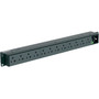 Panduit P12B01M Horizontal Basic Power Distribution Unit - Basic - NEMA 5-15P - 12 x NEMA 5-20R - 120 V AC - 1U - Horizontal - P12B01M