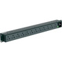 Panduit P12B19M Horizontal Basic Power Distribution Unit - Basic - NEMA 5-20P - 12 x NEMA 5-20R - 120 V AC - 1U - Horizontal - P12B19M