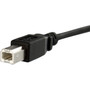 StarTechcom_3_ft_Panel_Mount_USB_Cable_B_to_B_-_FM_-_3_ft_USB_Data_Transfer_Cable_for_Storage_Enclosure_-_First_End_1_x_Type_B_Male_USBPNLBFBM3