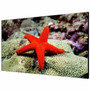 Hikvision DS-D2055LR-G Digital Signage Display - 55 1397 mm LCD - 1920 x 1080 - 8 ms - Direct LED - 500 cdm178 - 1080p - HDMI - DS-D2055LR-G
