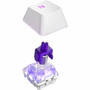 NZXT Function 2 KB-001NW-US Gaming Keyboard - Cable Connectivity - USB Type A Interface - RGB LED - Volume Roller Hot Keys - Windows KB-001NW-US