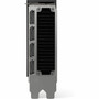 HP NVIDIA RTX 4500 Ada Graphic Card - 24 GB GDDR6 - Full-height - 7680 x 4320 - Yes - 4 x DisplayPort 8D6C1AA