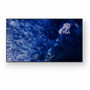 Sony Pro BRAVIA Professional FW-98BZ53L Digital Signage Display - 98 248920 mm LCD - Vertical Alignment VA - High Dynamic Range FW98BZ53L