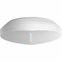 TP-Link Festa F65 Dual Band IEEE 80211 abgnacax 3 Gbits Wireless Access Point - 240 GHz 5 GHz - MIMO Technology - Multi User FESTA F65