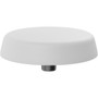 Panorama Antennas Low Profile MiMo WiFi Antenna - 1562 MHz to 1612 MHz, 2.4 GHz to 2.5 GHz, 4.9 GHz to 6 GHz, 2.4 GHz, 5 GHz - 26 dB - (Fleet Network)