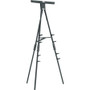 Da-Lite Whiteboard Stand - 100 lb (45359.24 g) Load Capacity - 60" (1524 mm) Height - Aluminum - Black (Fleet Network)