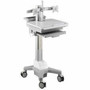 Amer Mounts Computer Cart Dual Monitor - 33.07 lb (15000 g) Capacity - 4 Casters - 10.3" (261 mm) Width x 20.4" (517 mm) Depth - 24" (Fleet Network)
