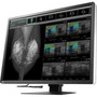 EIZO RadiForce RX1270 31" Class LCD Monitor - 3:2 - Black - 30.9" Viewable - In-plane Switching (IPS) Technology - LED Backlight - x - (RX1270-BK)