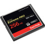 SanDisk Extreme PRO 256 GB CompactFlash - 160 MB/s Read - 140 MB/s Write (Fleet Network)