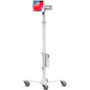 Compulocks CLRS01 Universal Rolling Tablet Stand with Articulating Arm - 13" Screen Support - Height Adjustable - White Powder Coated