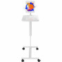CTA Digital Height-Adjustable Rolling Medical Workstation Cart with Security Enclosure - Pull Handle - 4 Casters - Metal (Fleet Network)