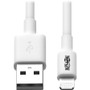 Tripp Lite 6ft Lightning USB/Sync Charge Cable for Apple Iphone / Ipad White 6' - 6 ft Lightning/USB Data Transfer Cable for iPad, - 1 (Fleet Network)