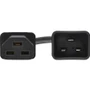 Tripp Lite by Eaton P035-010 Standard Power Cord - 250V AC / 20A - 10 ft (3.05 m) Black - IEC C20 Male to C21 Female