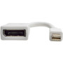 Tripp Lite series DisplayPort/Mini DisplayPort A/V Video Cable - 6" (152.40 mm) DisplayPort/Mini DisplayPort A/V Cable for Audio/Video (Fleet Network)
