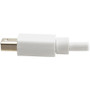 Tripp Lite series DisplayPort/Mini DisplayPort A/V Video Cable - 6" (152.40 mm) DisplayPort/Mini DisplayPort A/V Cable for Audio/Video (P139-06N-DP-V2B)