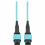 Tripp Lite series N845A-05M-12TAA Fiber Optic Network Cable - 16.4 ft (5 m) Fiber Optic Network Cable for Network Device, Switch, - 1 (N845A-05M-12TAA)