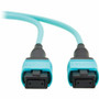 Tripp Lite series N845A-05M-12TAA Fiber Optic Network Cable - 16.4 ft (5 m) Fiber Optic Network Cable for Network Device, Switch, - 1 (N845A-05M-12TAA)