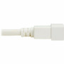 Tripp Lite series Power Cord, C20 to C21 - Heavy-Duty, 20A, 250V, 12 AWG, 4 ft. (1.2 m), White - For Network Switch, PDU, UPS, Switch, (P035-004-AWH)
