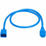 Tripp Lite series Power Cord, C20 to C21 - Heavy-Duty, 20A, 250V, 12 AWG, 3 ft. (0.9 m), Blue - For Network Switch, PDU, UPS, Switch, (Fleet Network)