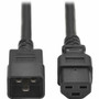 Tripp Lite series P035-002 Standard Power Cord - For Network Switch, PDU, UPS, Switch, Server, Network Device, Rack, Blade Server, - - (P035-002)
