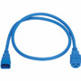 Tripp Lite series Power Cord, C14 to C21 - Heavy-Duty, 15A, 250V, 14 AWG, 4 ft. (1.2 m), Blue - For Computer, Server, UPS, PDU, Rack, (Fleet Network)