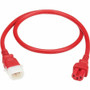 Tripp Lite series P018-E03-ARD-6 Power Extension Cord - For PDU, Computer, Monitor, HDTV, Printer, Server, UPS, Network Device, Rack, (Fleet Network)
