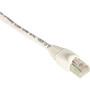 Black Box GigaBase Cat.5e UTP Patch Network Cable - 10 ft Category 5e Network Cable for Patch Panel, Wallplate, Network Device - First (Fleet Network)