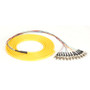 Black Box 3m ST OS2 9-Micron SM Fiber Pigtail 12-Strand OFNR PVC Yellow - 9.8 ft Fiber Optic Network Cable for Network Device - First (Fleet Network)