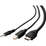 Belkin DVI to HDMI High Retention + USB A/B + Audio Passive Combo KVM Cable - 10 ft (3.05 m) KVM Cable for Keyboard, Mouse, KVM Server (F1DN1CCBL-DH10T)