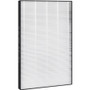 Sharp True HEPA Filter - HEPA - For Air Purifier - Remove Dust, Remove Allergens - 100% Particle Removal Efficiency - 0.01 mil (0 mm) (Fleet Network)