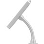 CTA Digital Premium Security Kiosk Stand with Gooseneck Tabletop Mount (White) - 10.5" Screen Support - Metal (PAD-PARATW)