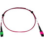Tripp Lite series N846D-01M-16BMG Fiber Optic Patch Network Cable - 3.3 ft (1 m) Fiber Optic Network Cable for Network Device, Network (N846D-01M-16BMG)