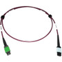 Tripp Lite series N846D-01M-16CMG Fiber Optic Patch Network Cable - 3.3 ft (1 m) Fiber Optic Network Cable for Network Device, Network (N846D-01M-16CMG)