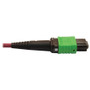 Tripp Lite series N846D-01M-16CMG Fiber Optic Patch Network Cable - 3.3 ft (1 m) Fiber Optic Network Cable for Network Device, Network (N846D-01M-16CMG)