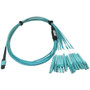Tripp Lite series N846D-01M-24CAQ Fiber Optic Patch Network Cable - 3.3 ft (1 m) Fiber Optic Network Cable for Network Device, Network (N846D-01M-24CAQ)
