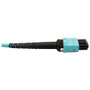 Tripp Lite series N846D-01M-24CAQ Fiber Optic Patch Network Cable - 3.3 ft (1 m) Fiber Optic Network Cable for Network Device, Network (N846D-01M-24CAQ)