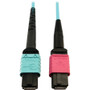 Tripp Lite series N846D-01M-24DAQ Fiber Optic Patch Network Cable - 3.3 ft (1 m) Fiber Optic Network Cable for Network Device, Network (Fleet Network)