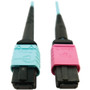 Tripp Lite series N846D-01M-24DAQ Fiber Optic Patch Network Cable - 3.3 ft (1 m) Fiber Optic Network Cable for Network Device, Network (N846D-01M-24DAQ)